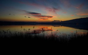 lago-di-pusiano-giovanni-zanardi