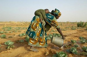 Coltivare-il-cambiamento-il-futuro-delle-donne-in-agricoltura_article_full_l